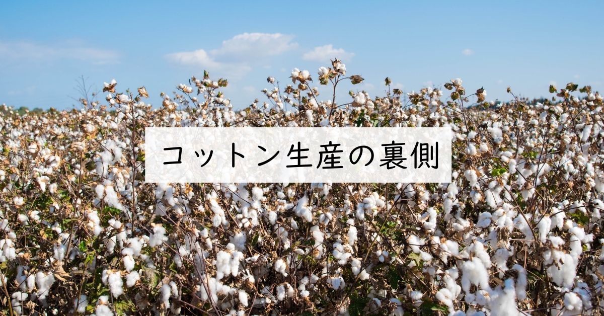 知ってる?コットン生産の裏側と私たちにできること