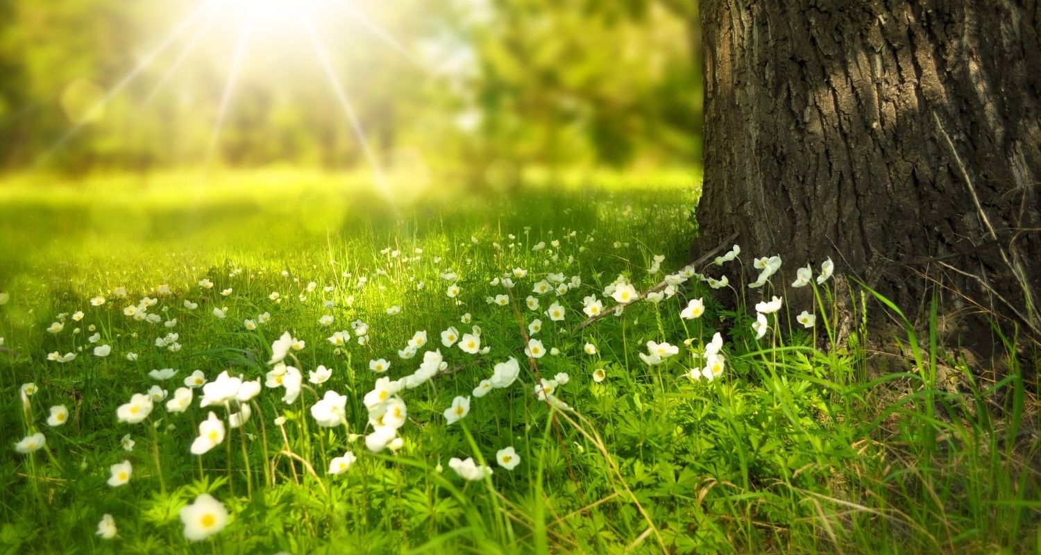 サステナビリティ戦略