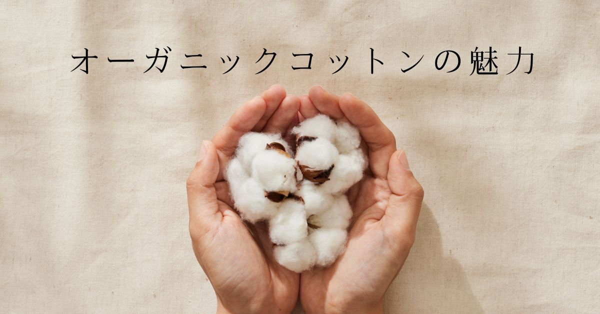 知ってほしい!オーガニックコットンの魅力