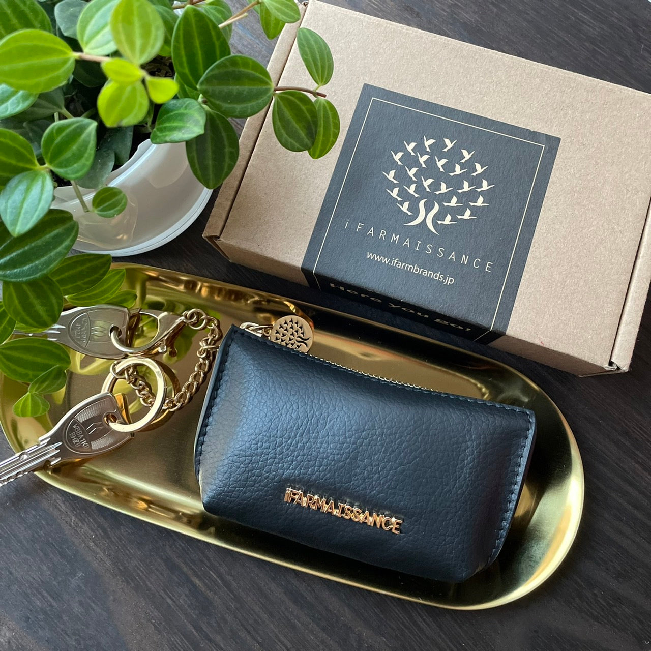 Fiona Key Purse Black