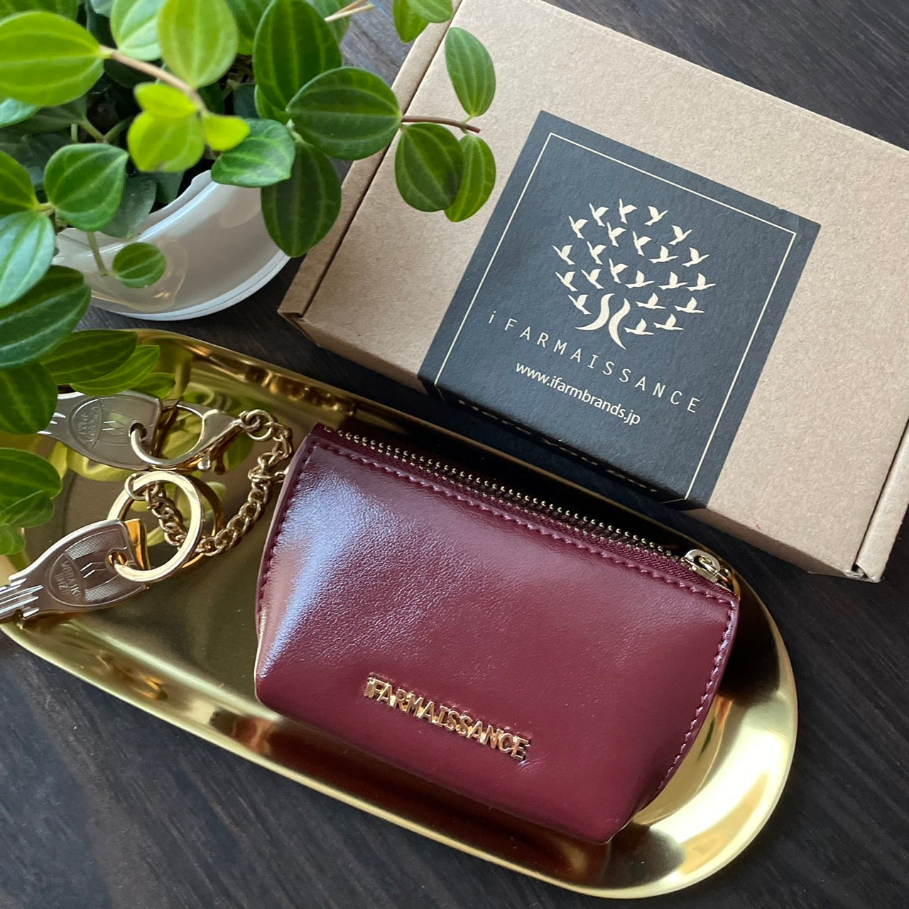 Fiona Key Purse Burgundy