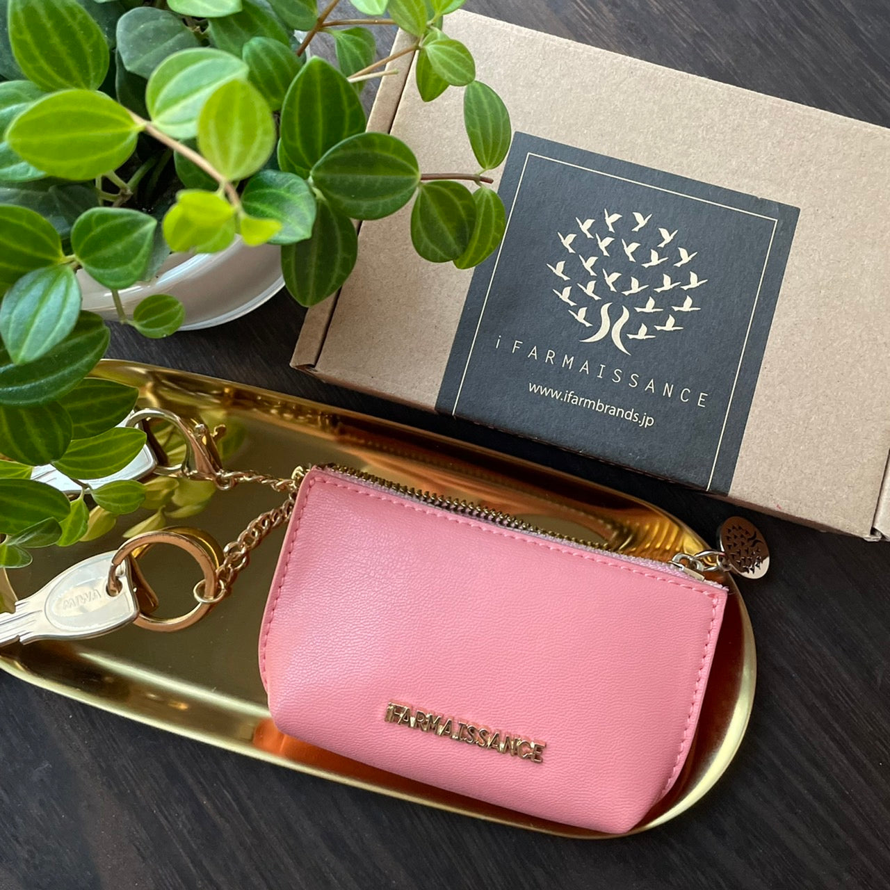 Fiona Key Purse Terra Cotta