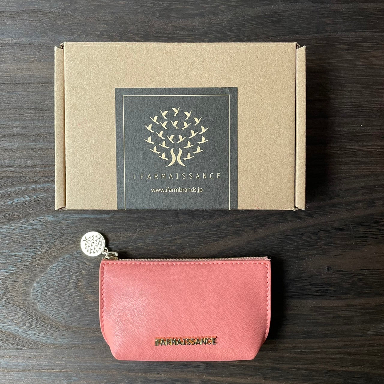 Fiona Key Purse Terra Cotta