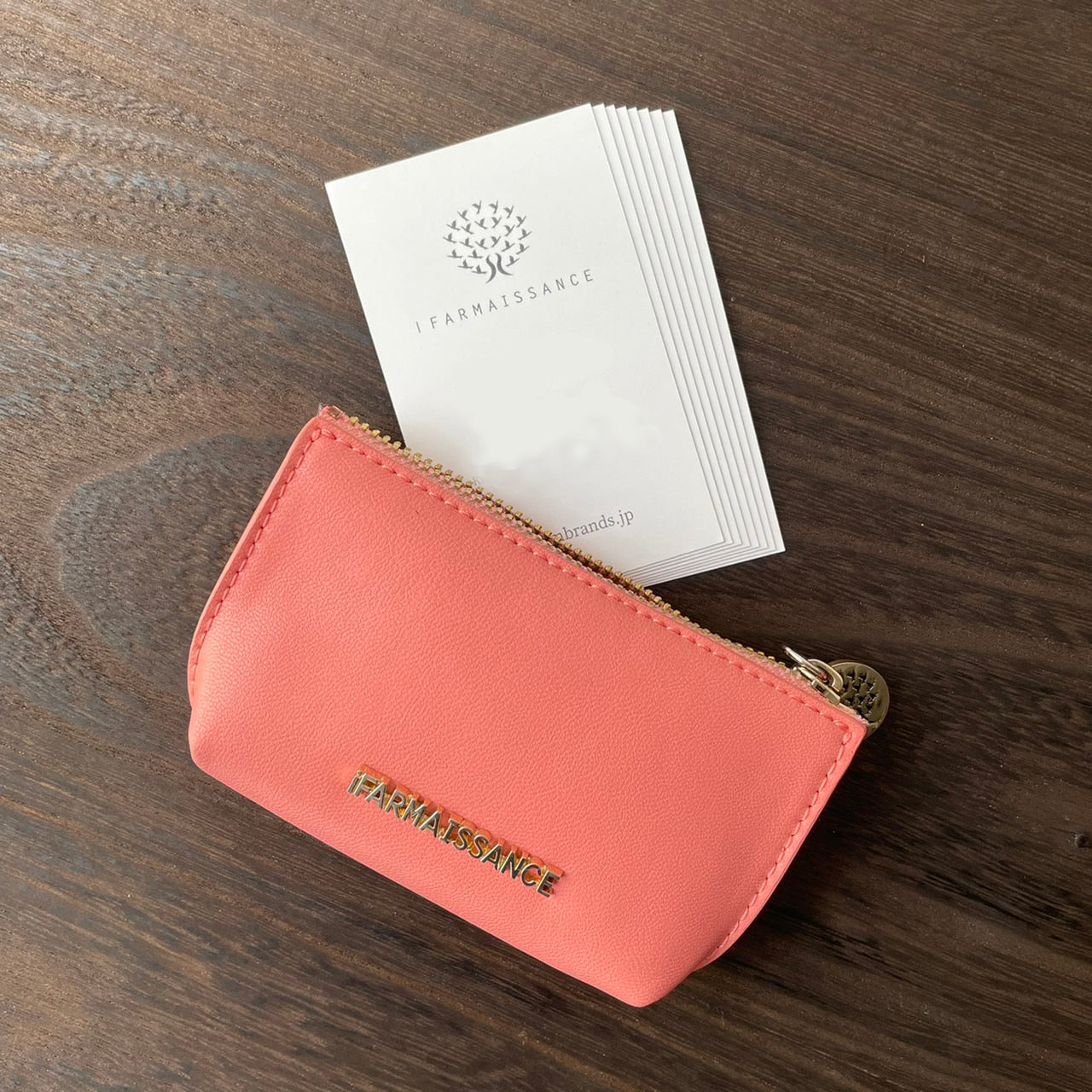 Fiona Key Purse Terra Cotta